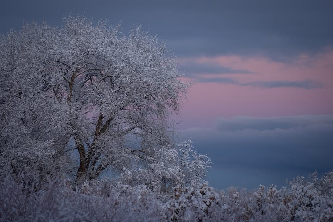 Post 3 by Dan Ballard on Instagram (image)