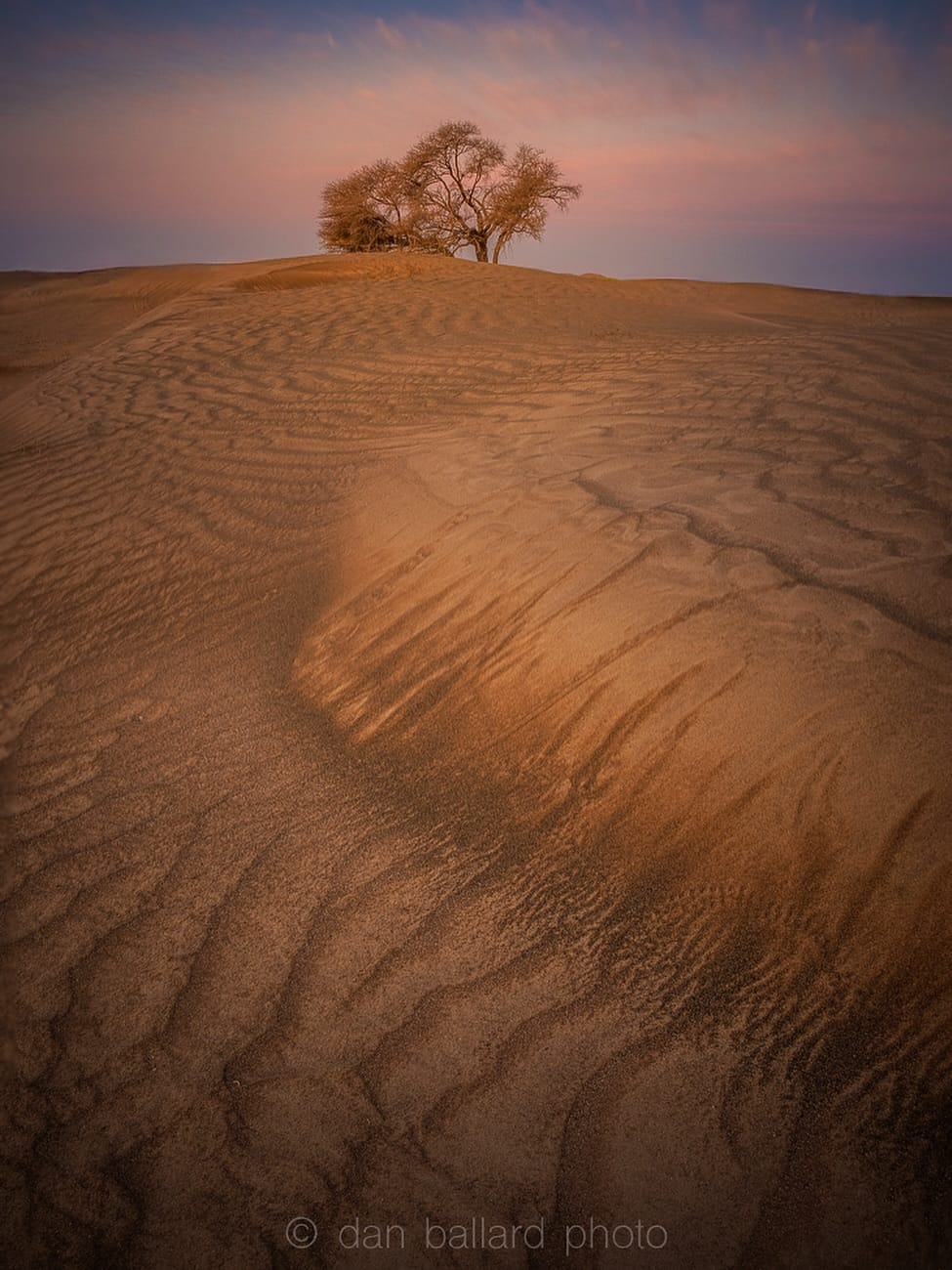 Post 2 by Dan Ballard on Instagram (image)