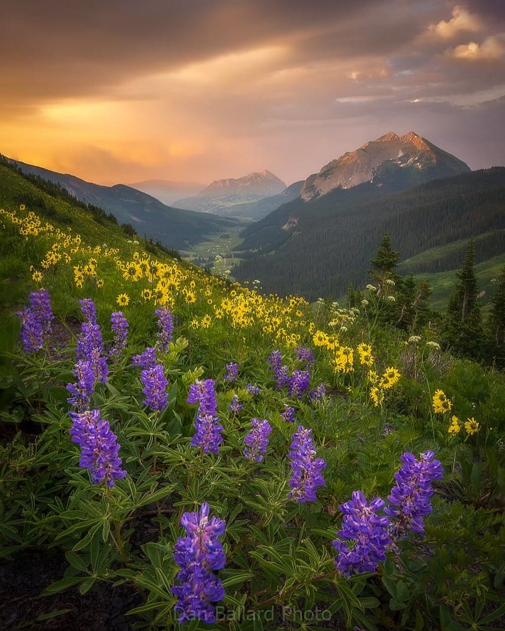 Post 8 by Dan Ballard on Instagram (image)