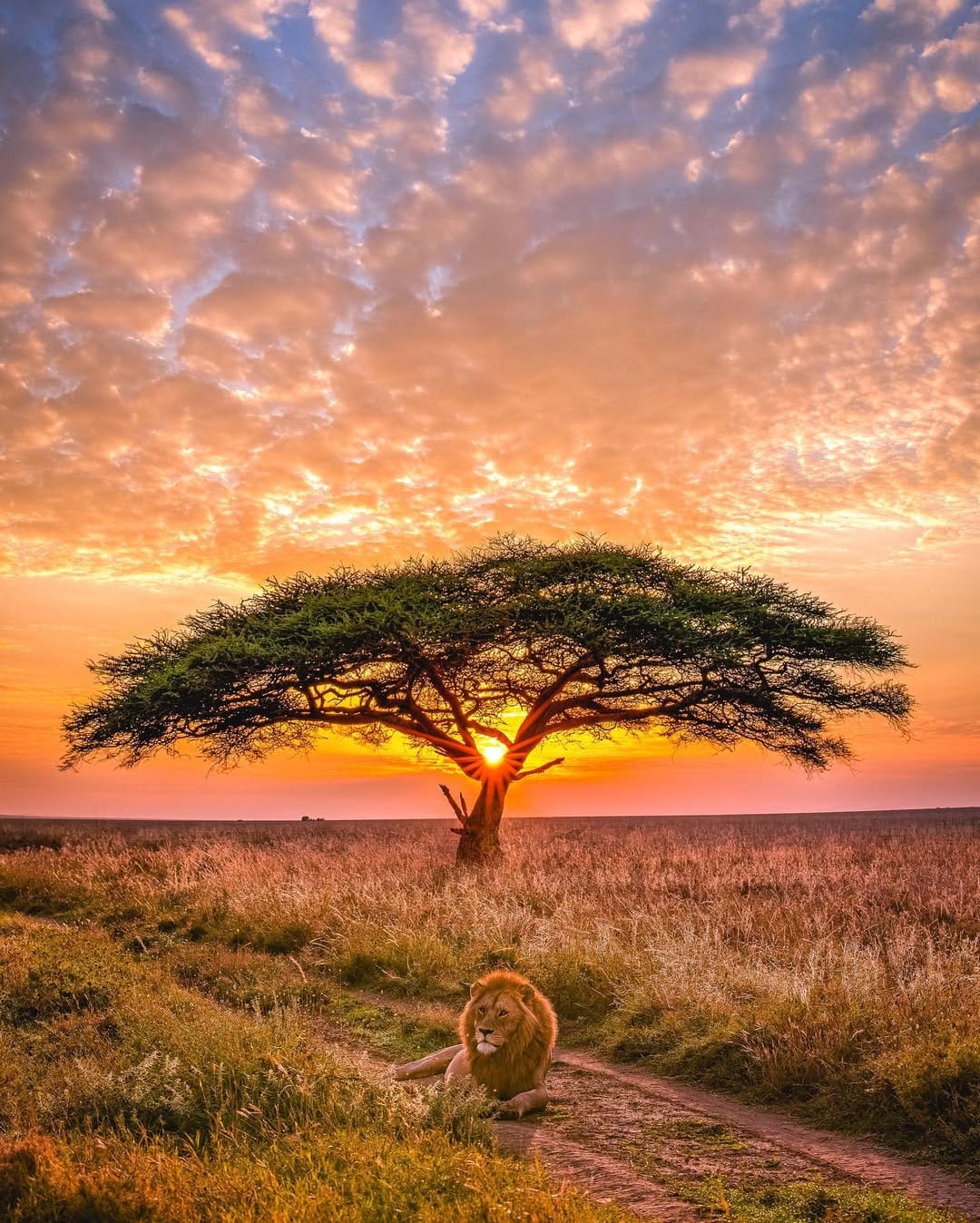 Post 10 by Alex G Perez | Photographer on Instagram (carousel)