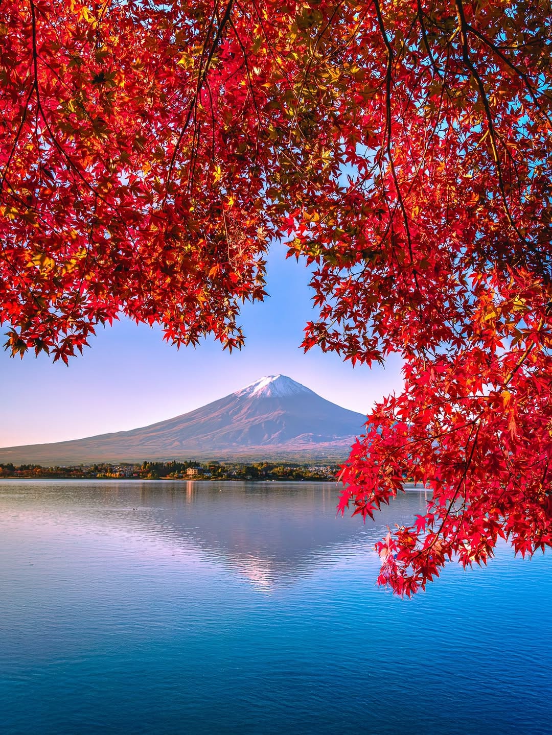 Post 3 by Alex G Perez | Photographer on Instagram (image)