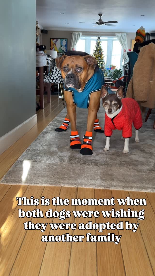 Post 7 by Alison Gary | GenX real-life style on Instagram (video)
