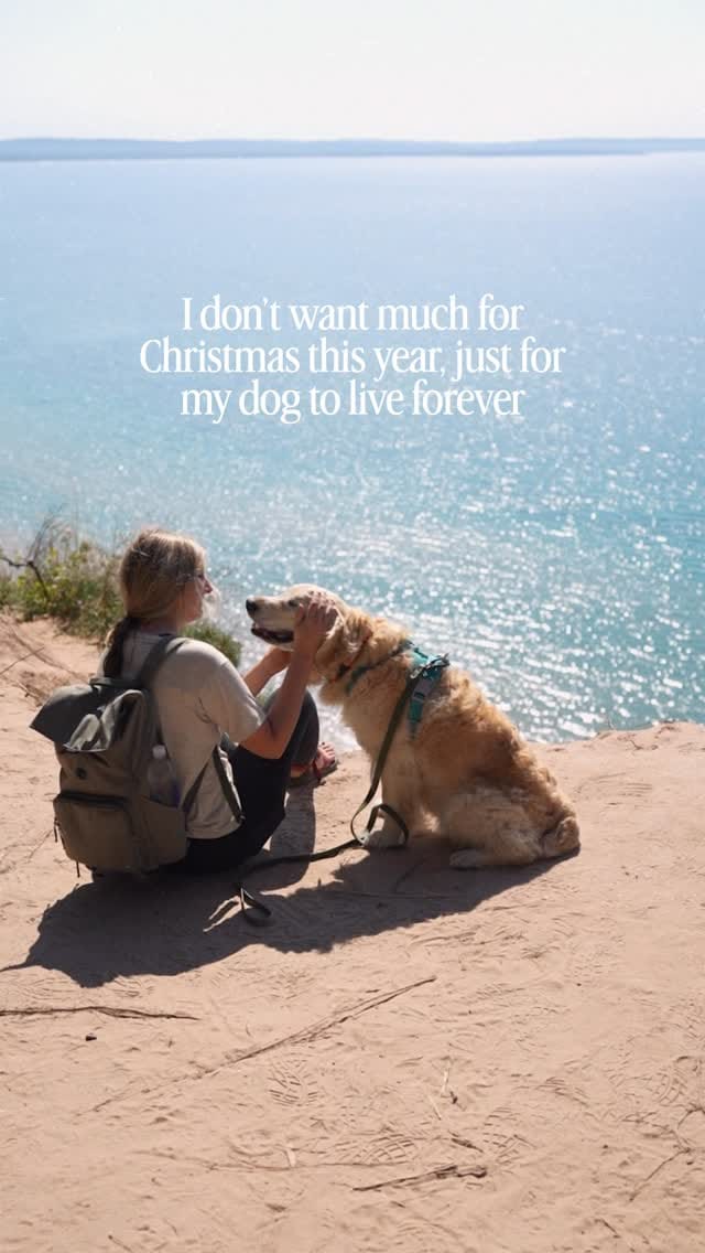 Post 2 by Rachel Jezowski // Life with Goldens on Instagram (video)