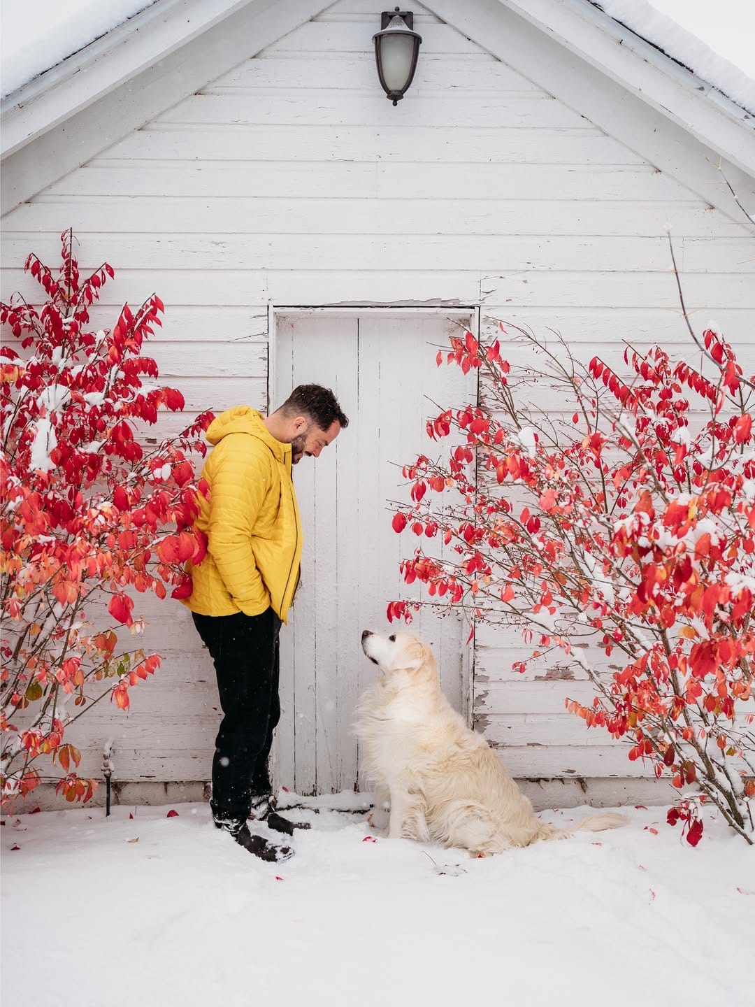 Post 5 by Rachel Jezowski // Life with Goldens on Instagram (carousel)