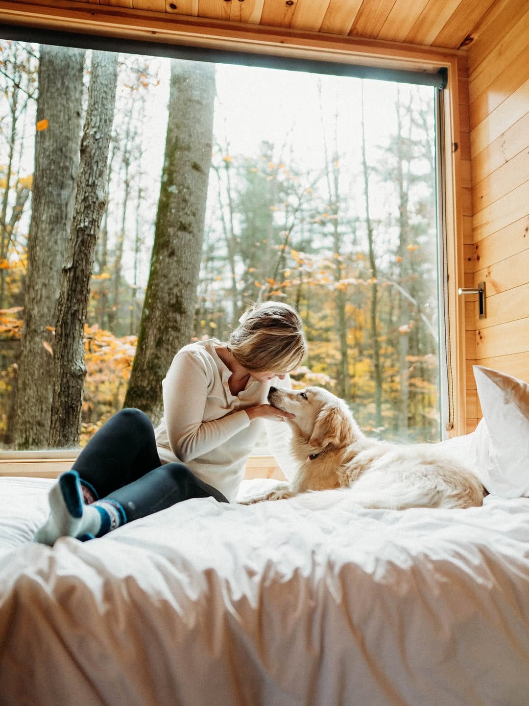 Post 10 by Rachel Jezowski // Life with Goldens on Instagram (carousel)