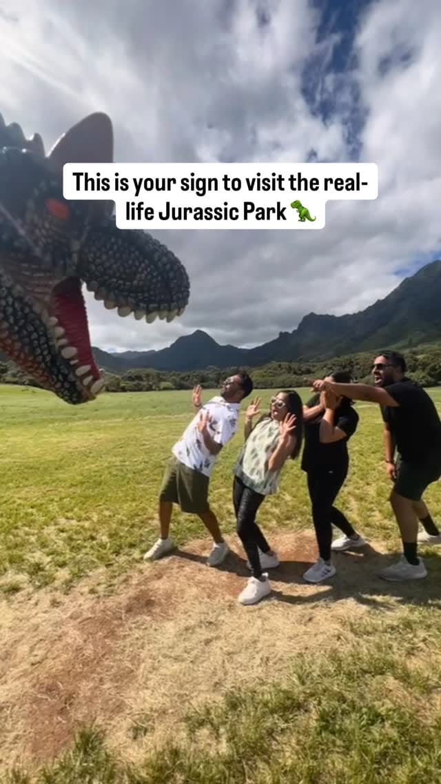 Post 4 by Dhiral & Dippan Patel ✈ Chicago Travel Couple on Instagram (video)
