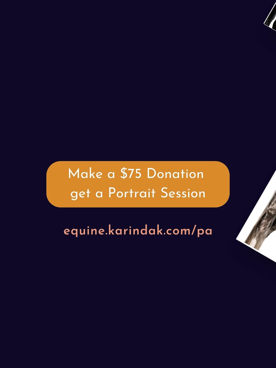 Post 9 by Karinda K.- 🐴 Photographer on Instagram (image)