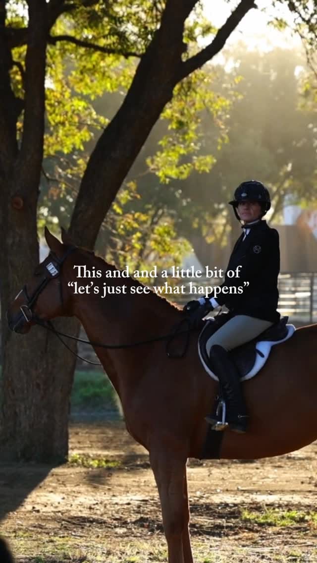 Post 4 by Karinda K.- 🐴 Photographer on Instagram (video)