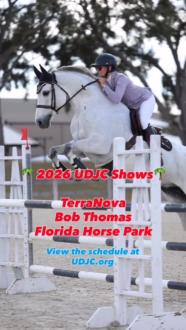 Post 7 by Karinda K.- 🐴 Photographer on Instagram (video)
