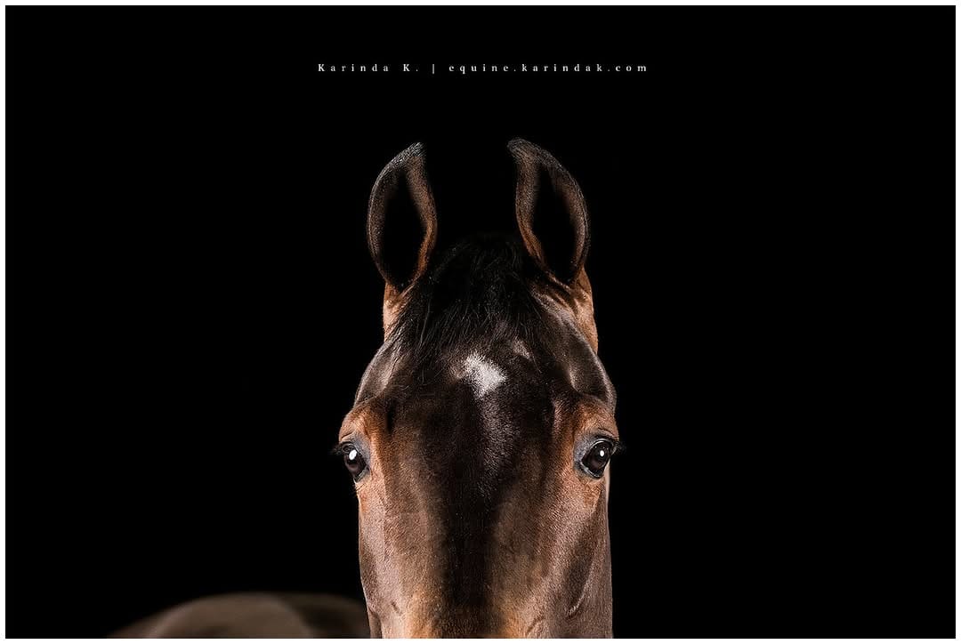 Post 3 by Karinda K.- 🐴 Photographer on Instagram (image)