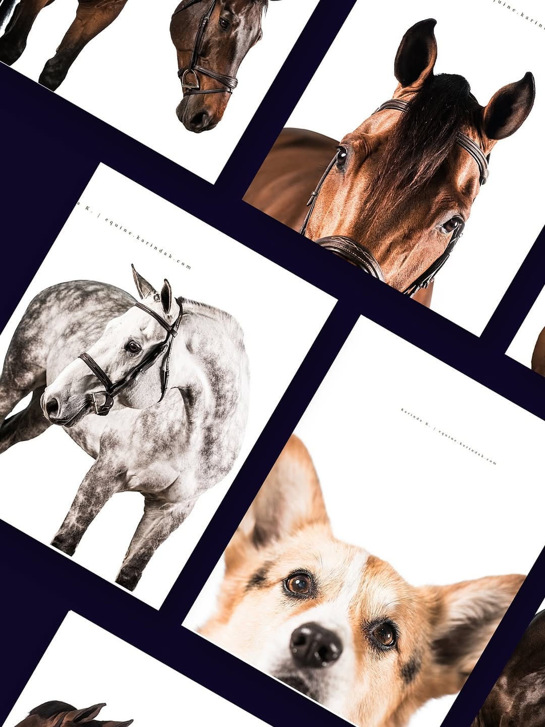 Post 10 by Karinda K.- 🐴 Photographer on Instagram (image)