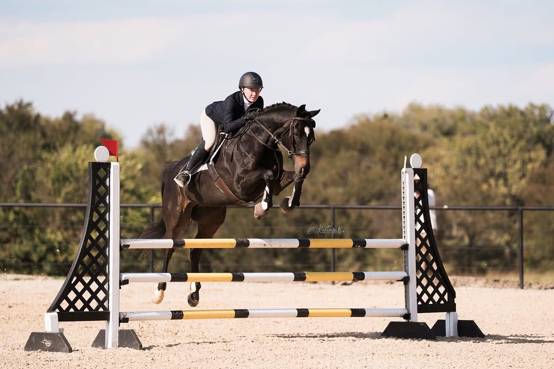 Post 1 by Karinda K.- 🐴 Photographer on Instagram (image)