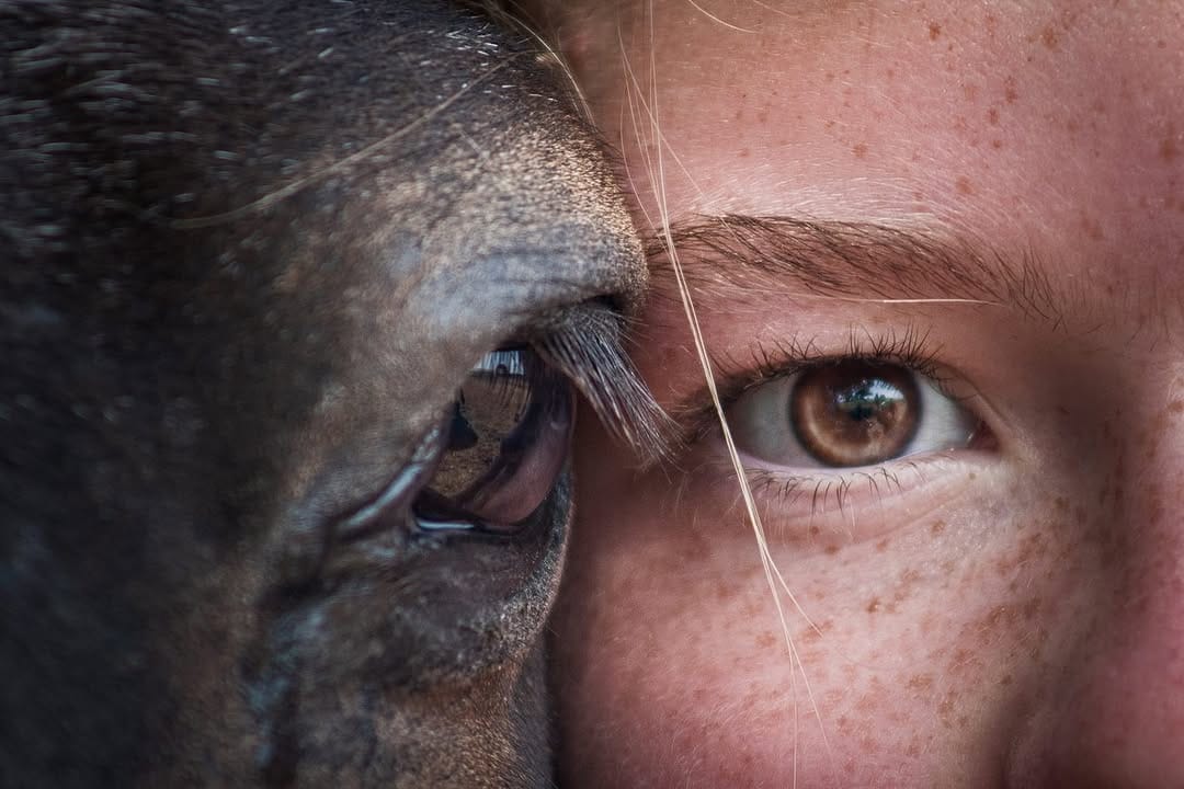 Post 8 by Erika Perez Roa - Fotografía on Instagram (carousel)