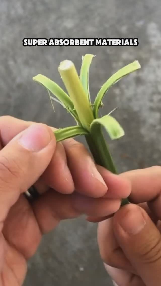 Post 6 by evo hemp on Instagram (video)