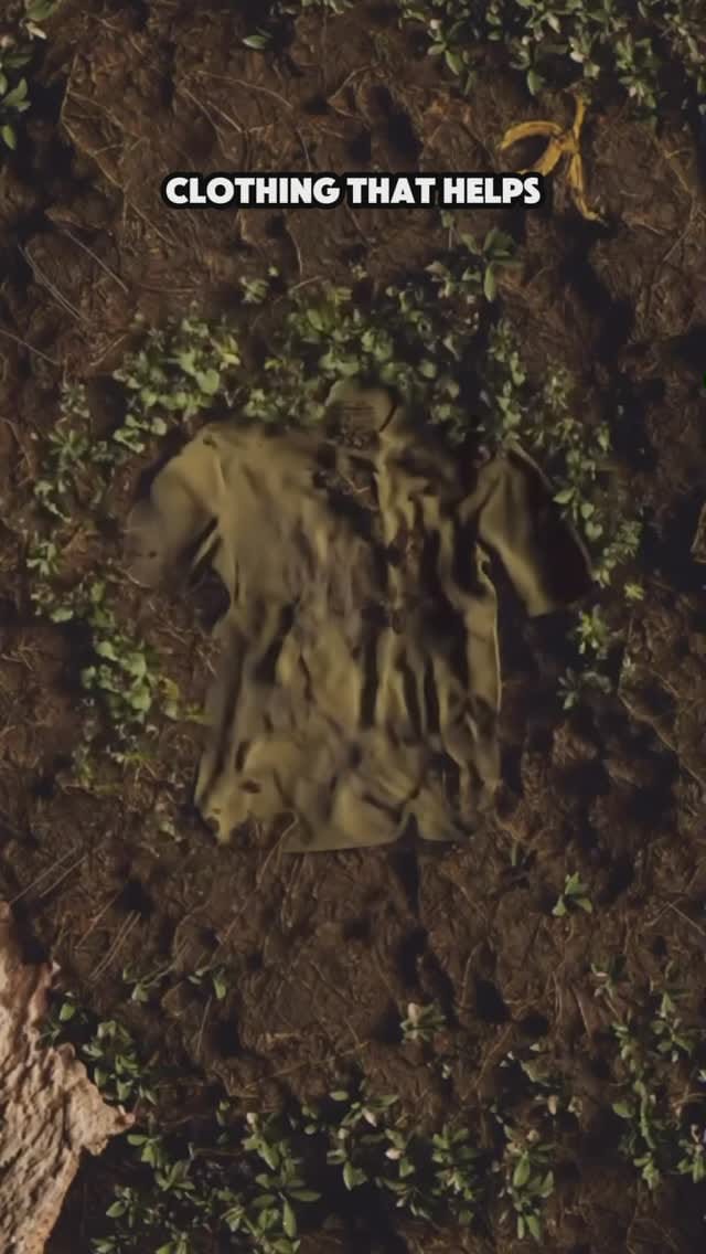 Post 7 by evo hemp on Instagram (video)
