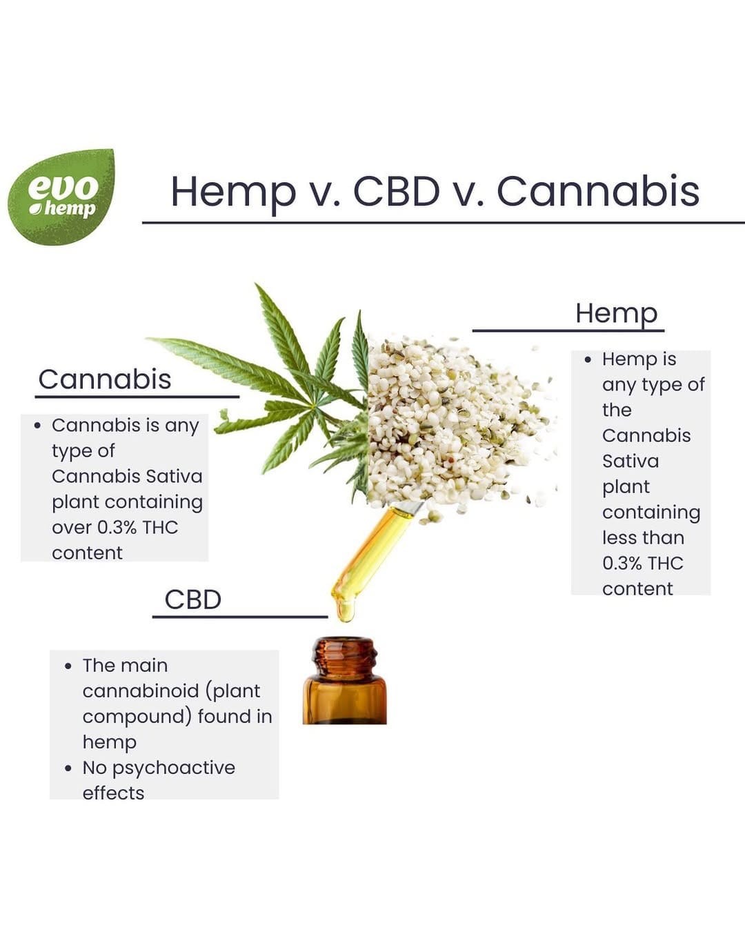 Post 9 by evo hemp on Instagram (image)