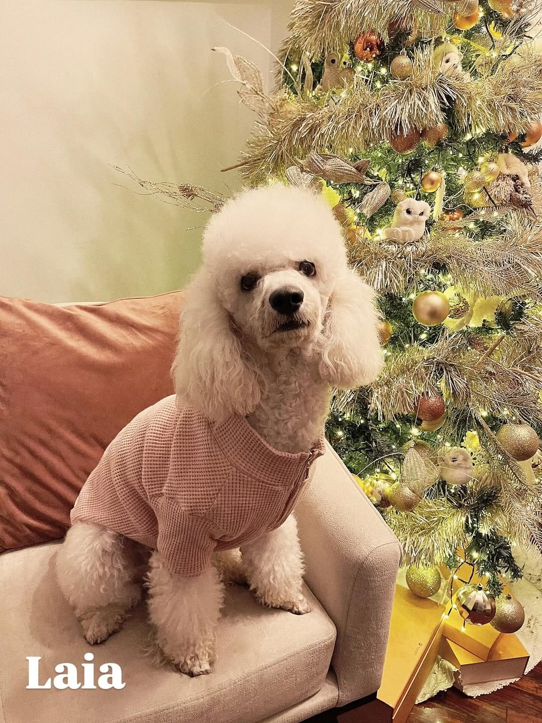 Post 1 by 𝐋𝐮𝐭𝐭𝐲 𝐋𝐨𝐛𝐚𝐭𝐨𝐧 𝐕. on Instagram (image)