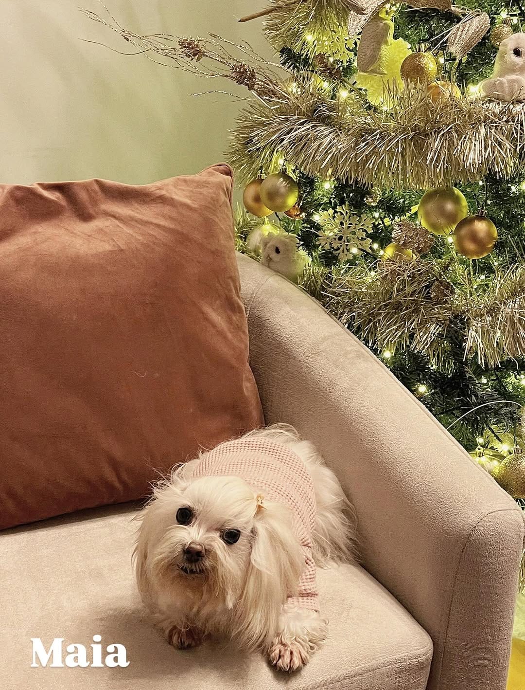 Post 3 by 𝐋𝐮𝐭𝐭𝐲 𝐋𝐨𝐛𝐚𝐭𝐨𝐧 𝐕. on Instagram (image)