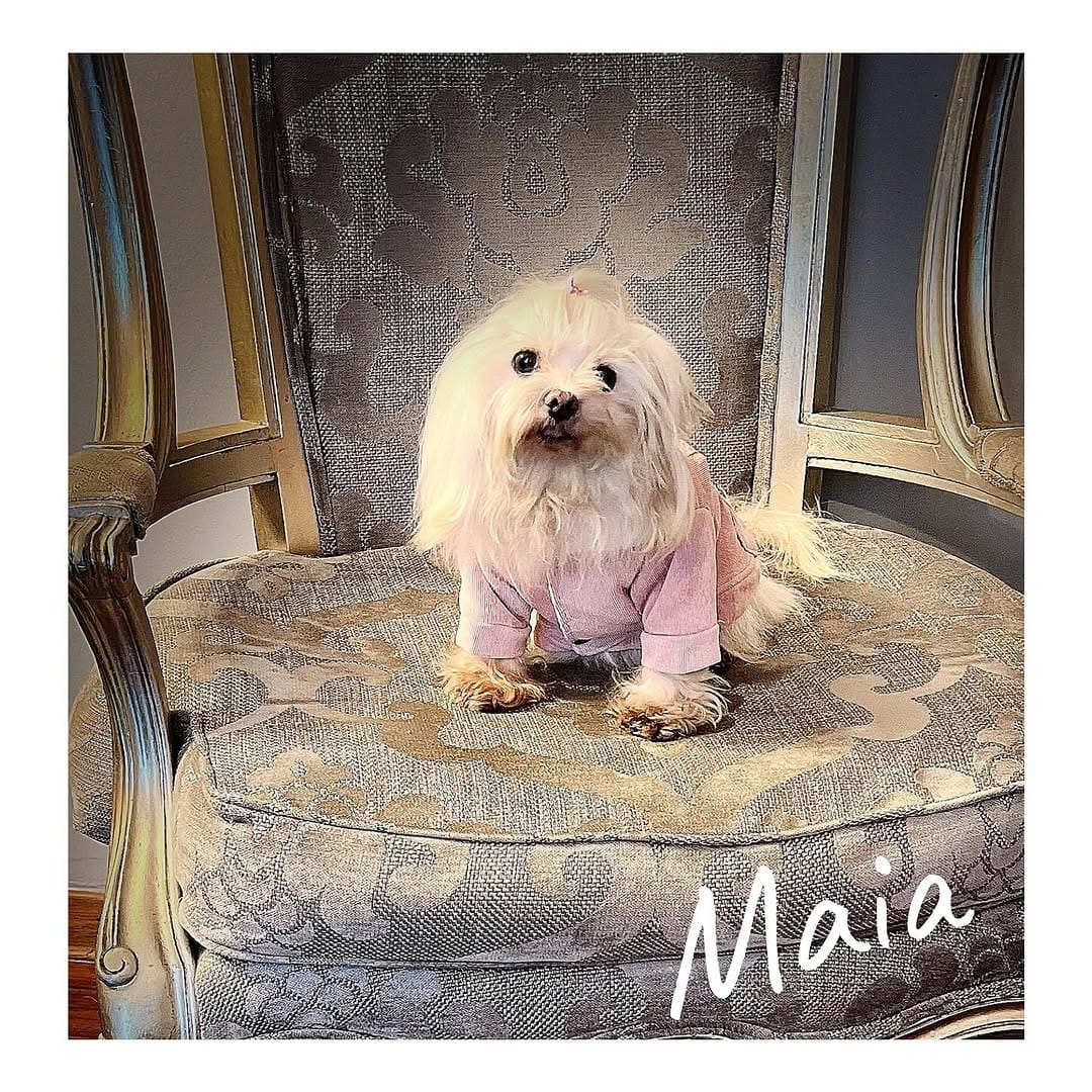 Post 8 by 𝐋𝐮𝐭𝐭𝐲 𝐋𝐨𝐛𝐚𝐭𝐨𝐧 𝐕. on Instagram (image)
