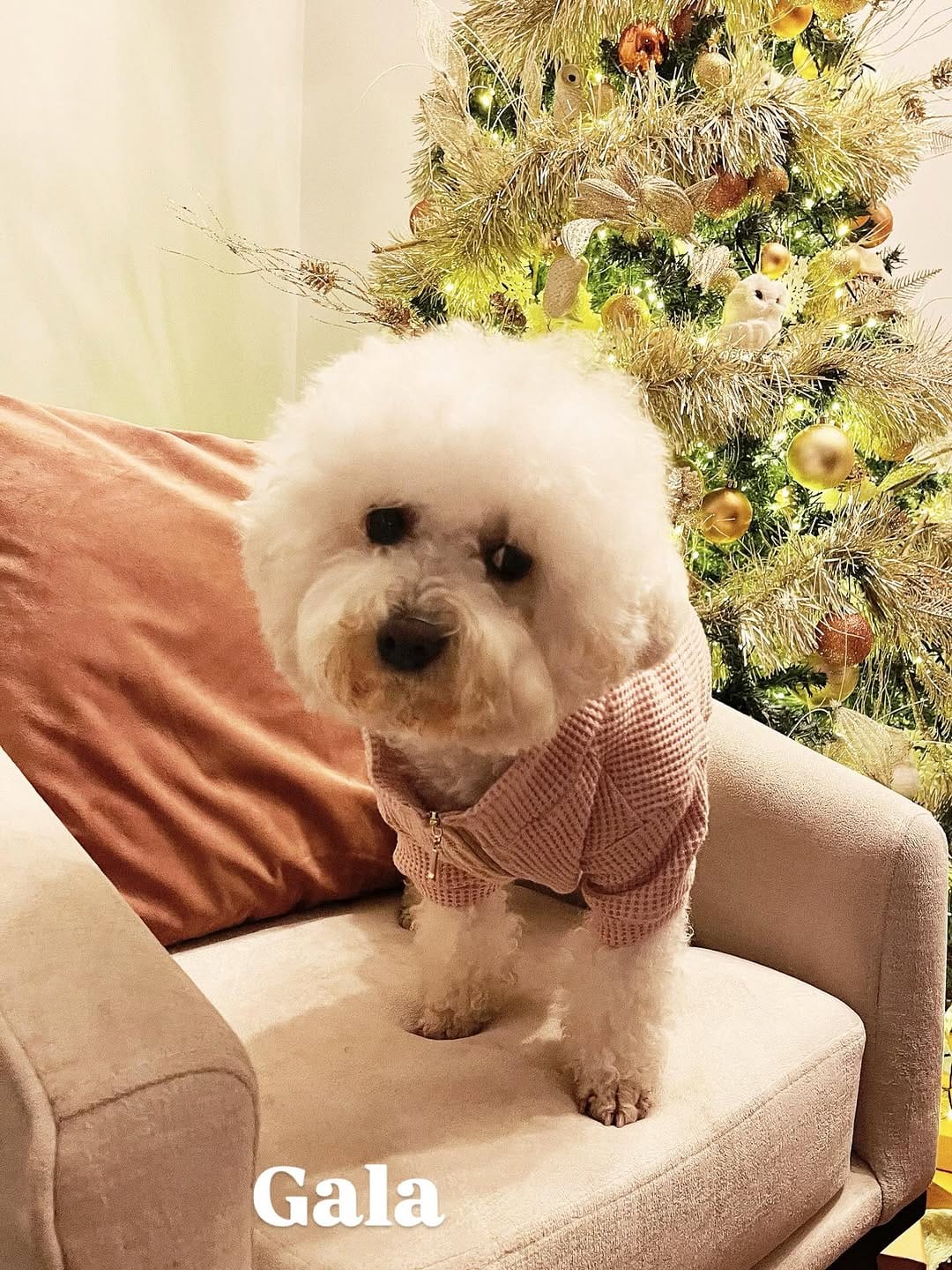 Post 2 by 𝐋𝐮𝐭𝐭𝐲 𝐋𝐨𝐛𝐚𝐭𝐨𝐧 𝐕. on Instagram (image)