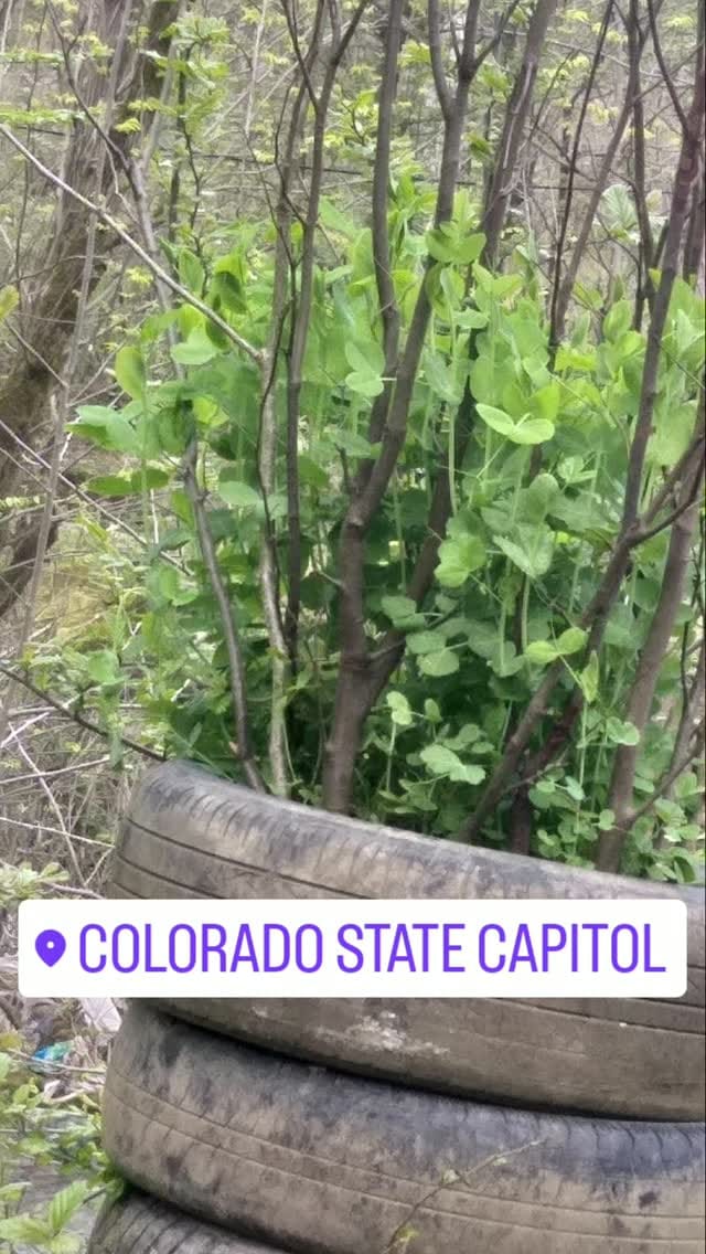 Post 2 by fri on Instagram (video)