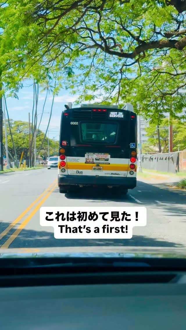 Post 6 by Piko Aloha (マーシャ/Marcia) on Instagram (video)