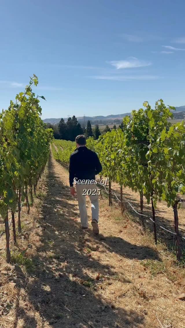 Post 5 by Grady Connolly on Instagram (video)