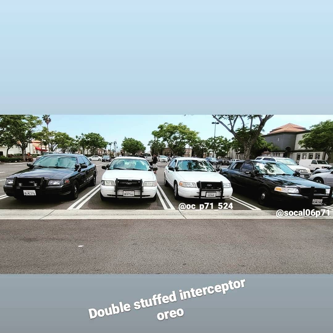 Post 9 by Dominic Ferrera on Instagram (image)
