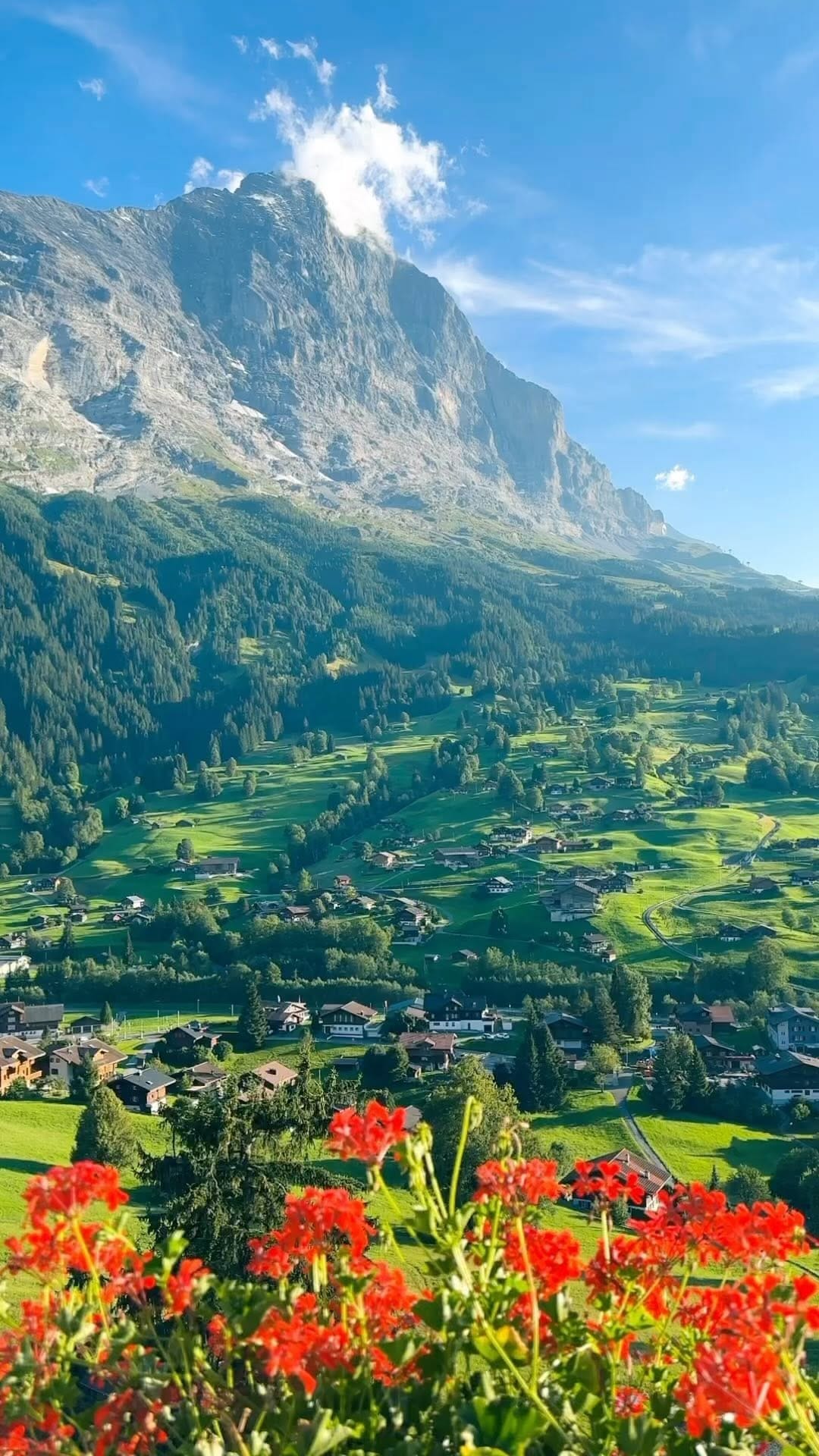 Post 1 by Alberto Moya on Instagram (video)