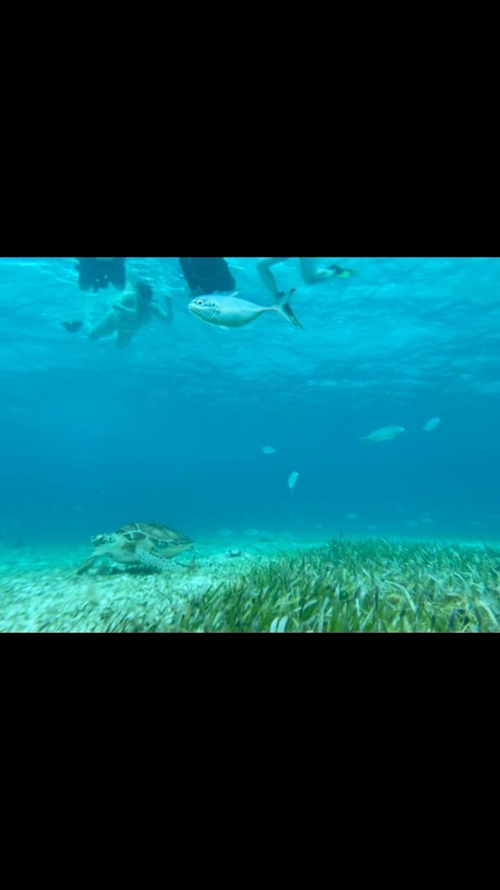 Post 7 by Mana on Instagram (video)