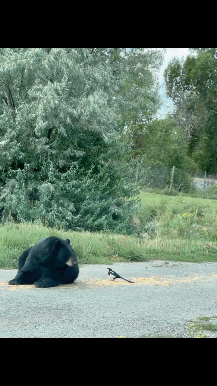 Post 6 by Mana on Instagram (video)