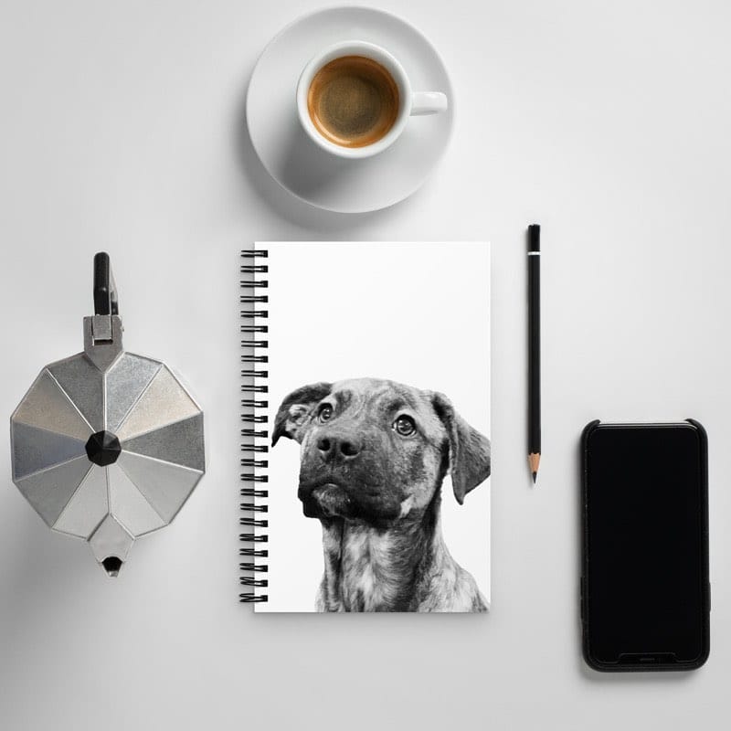 Post 9 by The Printed Pet on Instagram (carousel)