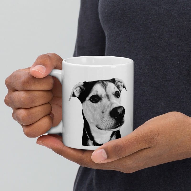 Post 5 by The Printed Pet on Instagram (carousel)