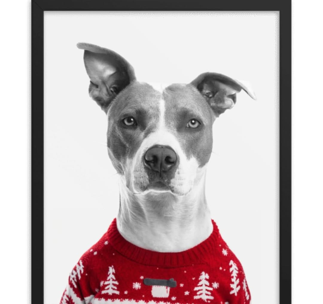 Post 3 by The Printed Pet on Instagram (carousel)