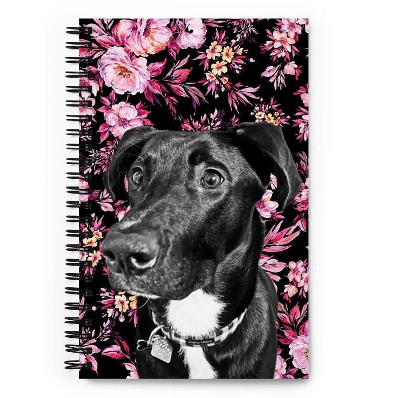 Post 8 by The Printed Pet on Instagram (carousel)