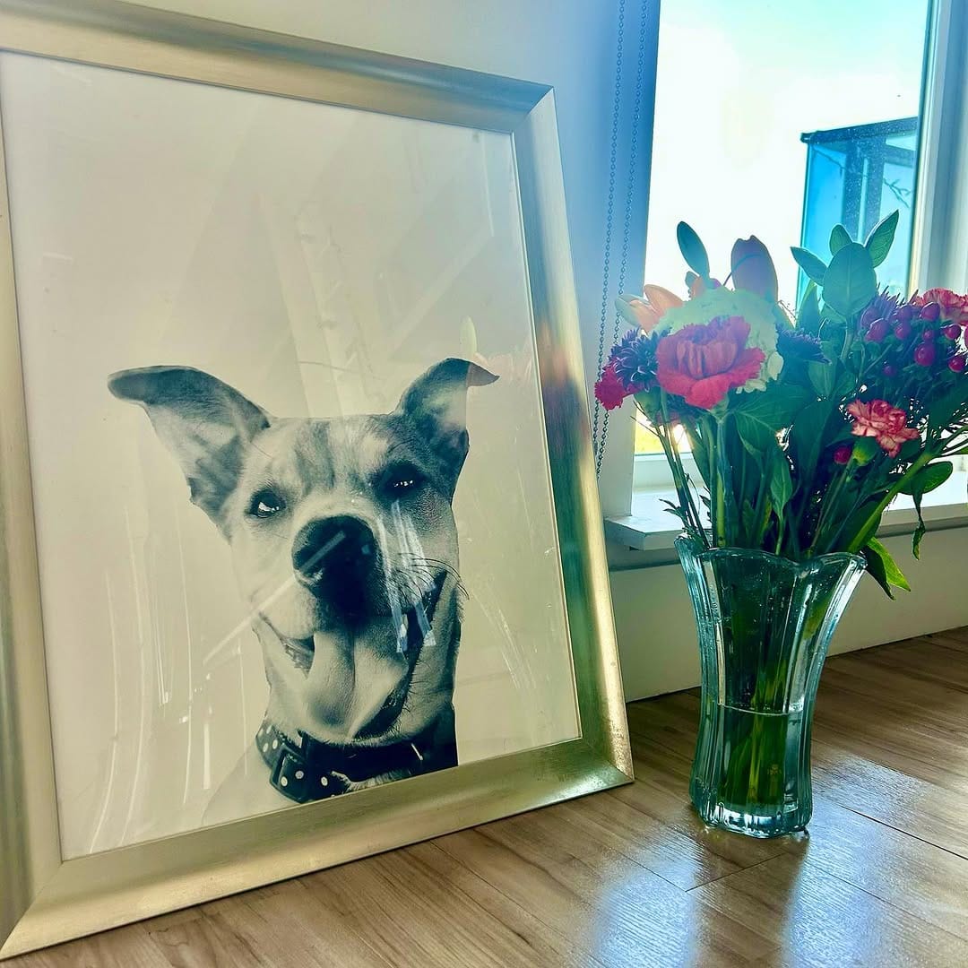 Post 6 by The Printed Pet on Instagram (image)