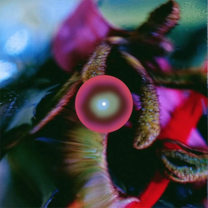 Post 8 by sorrelle//soso on Instagram (carousel)