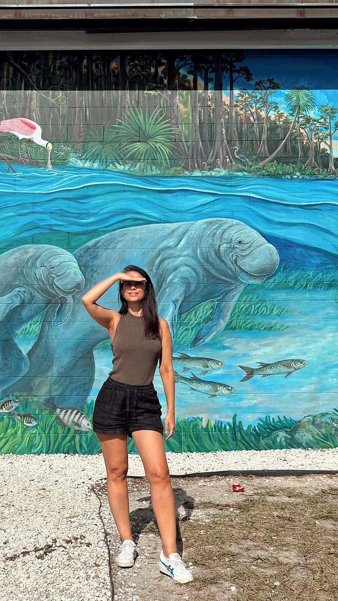 Post 3 by Carolina Grabova | Florida Travel on Instagram (video)