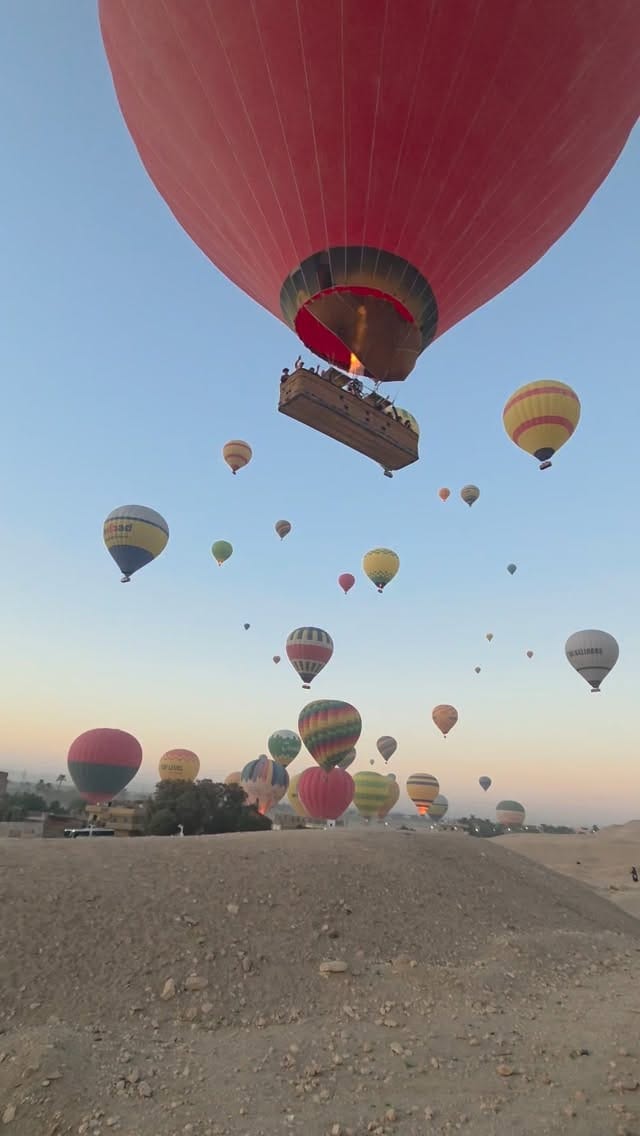 Post 5 by Lauren Biedenharn on Instagram (video)
