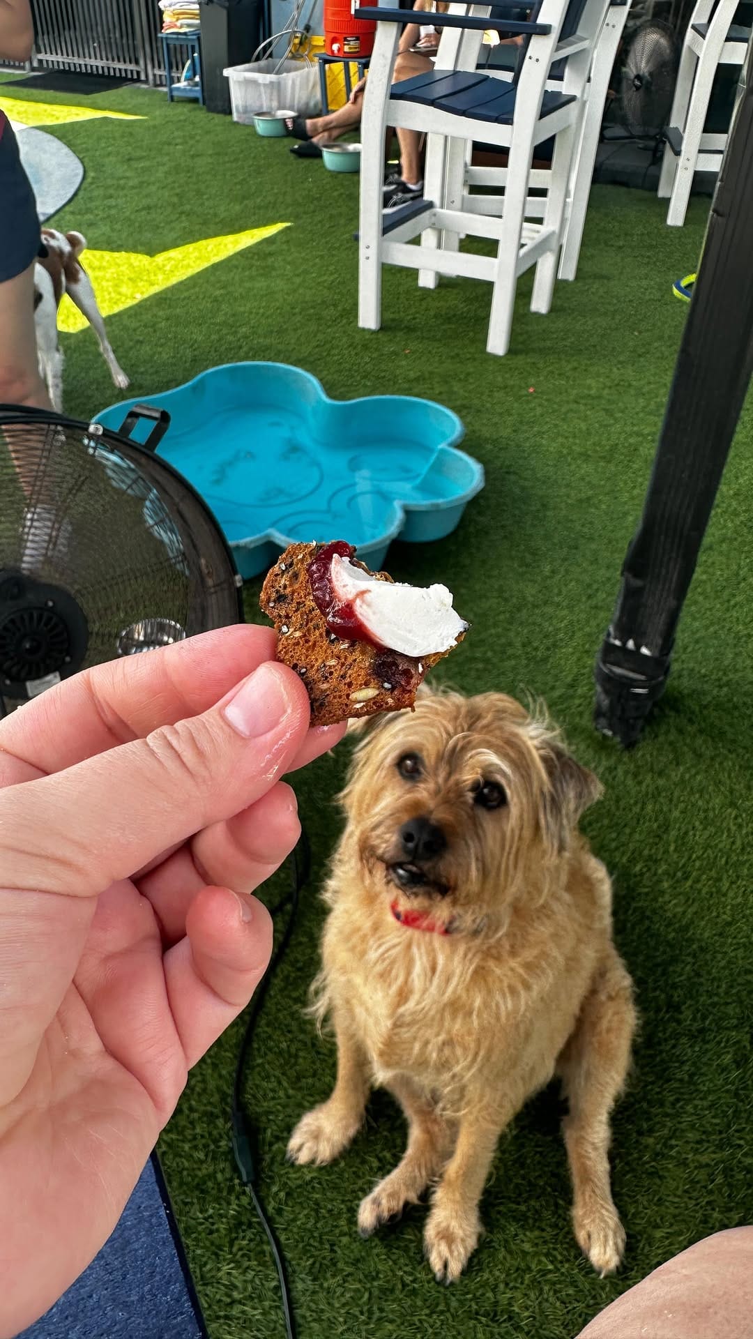 Post 10 by Lauren Holloway | Orlando Food & Lifestyle Blogger on Instagram (video)