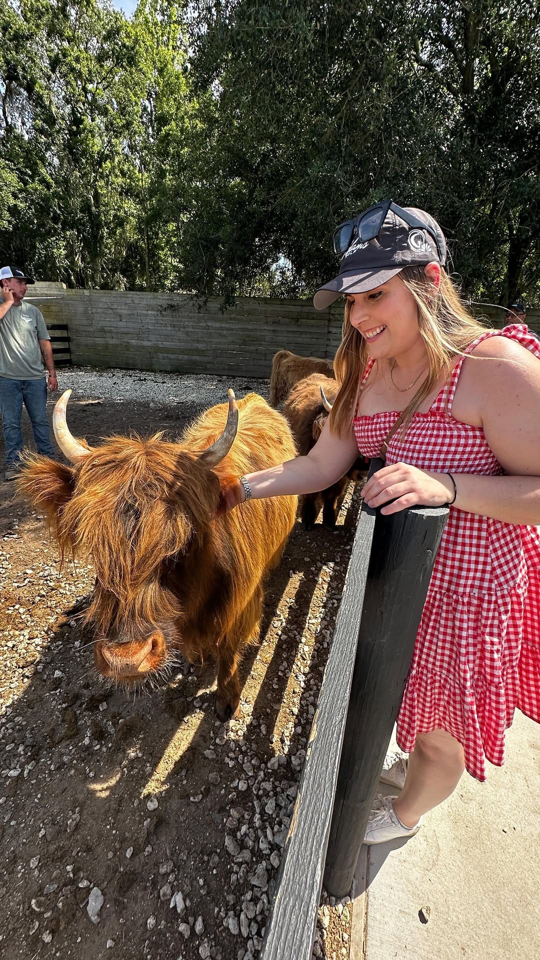 Post 9 by Lauren Holloway | Orlando Food & Lifestyle Blogger on Instagram (video)