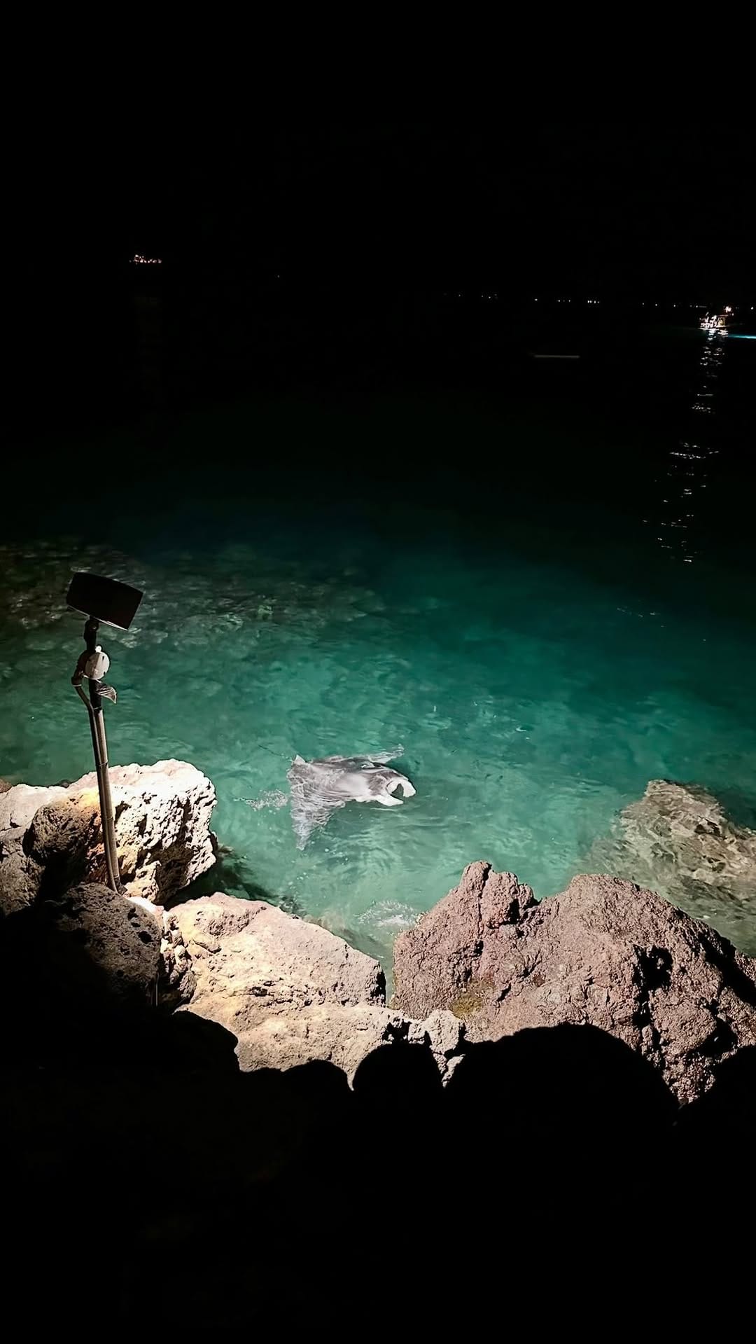 Post 7 by Caity Lincoln | Lincoln Travel Co on Instagram (video)