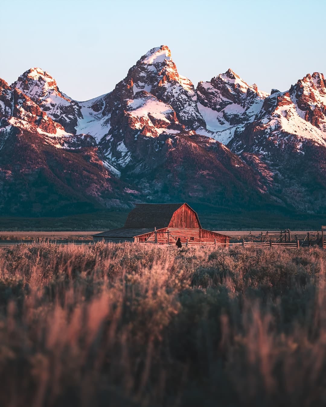 Post 9 by Peter Xiao on Instagram (image)
