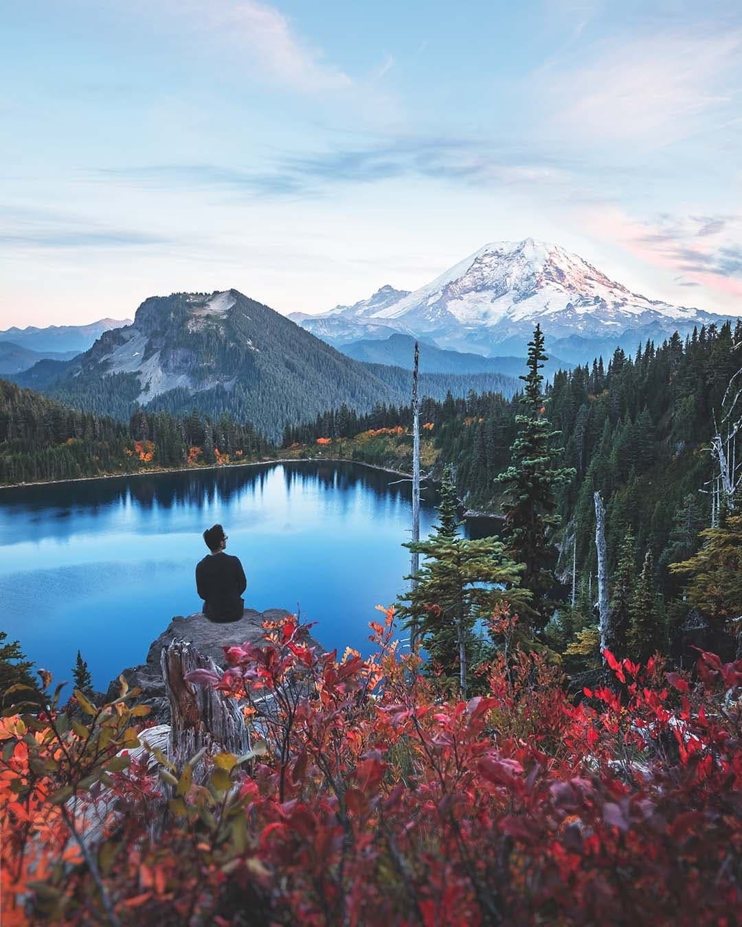 Post 5 by Peter Xiao on Instagram (image)