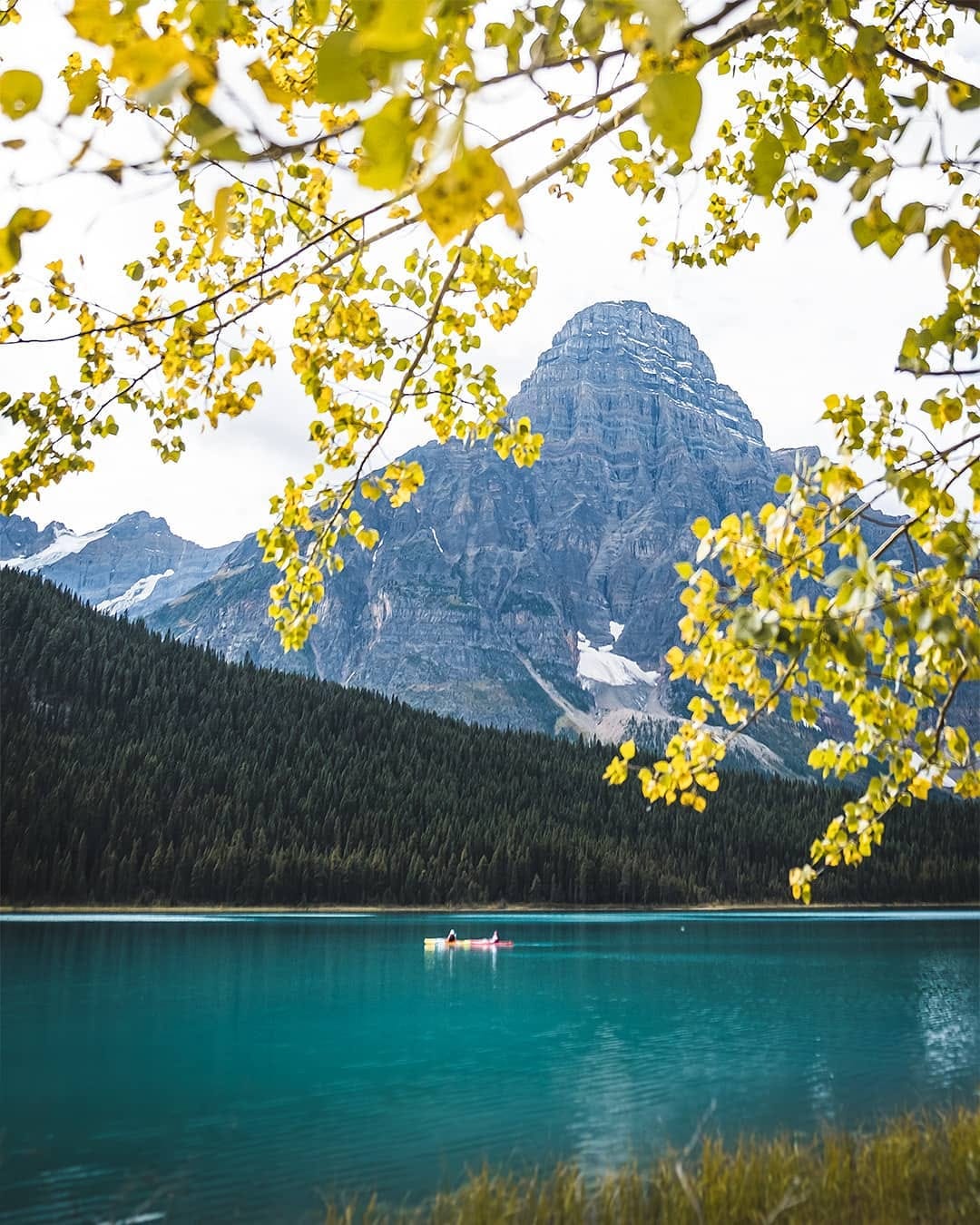 Post 6 by Peter Xiao on Instagram (image)
