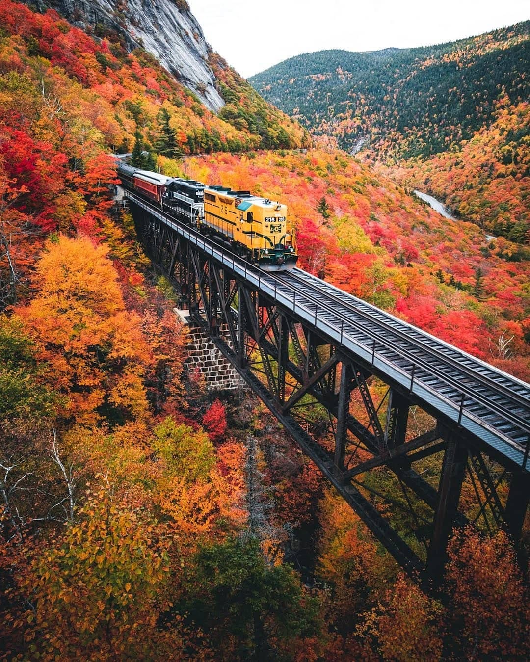 Post 4 by Peter Xiao on Instagram (image)