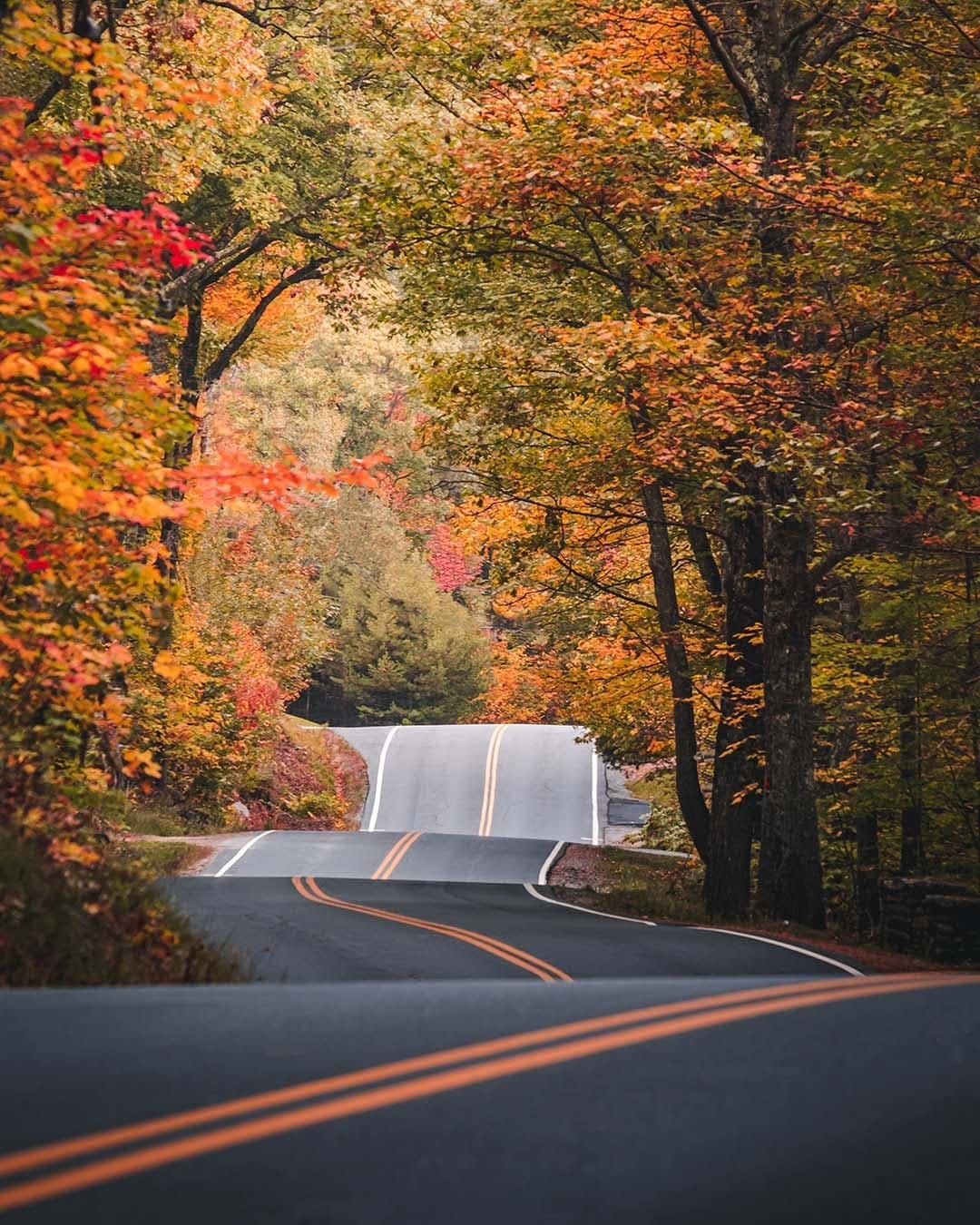 Post 2 by Peter Xiao on Instagram (image)