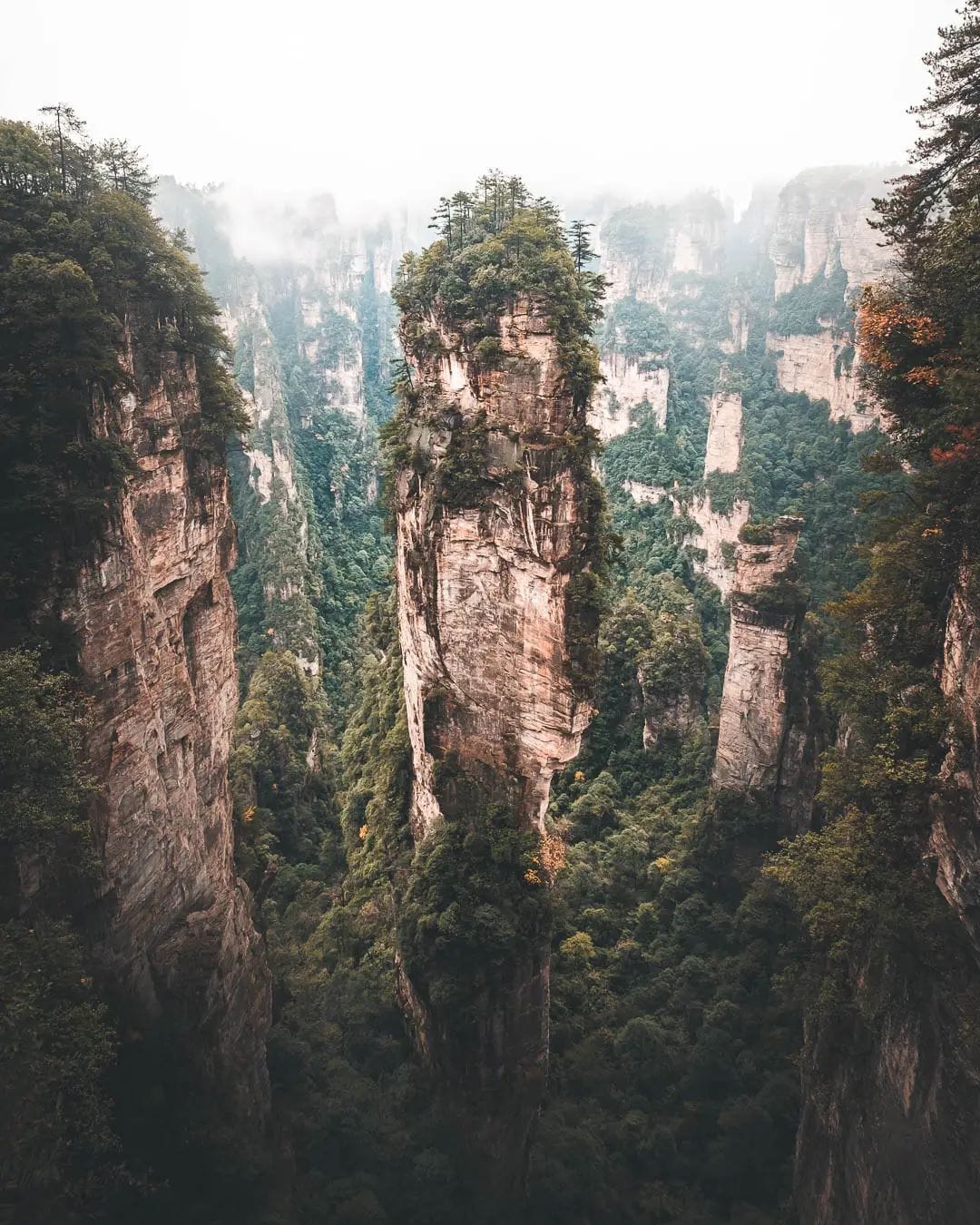 Post 10 by Peter Xiao on Instagram (image)
