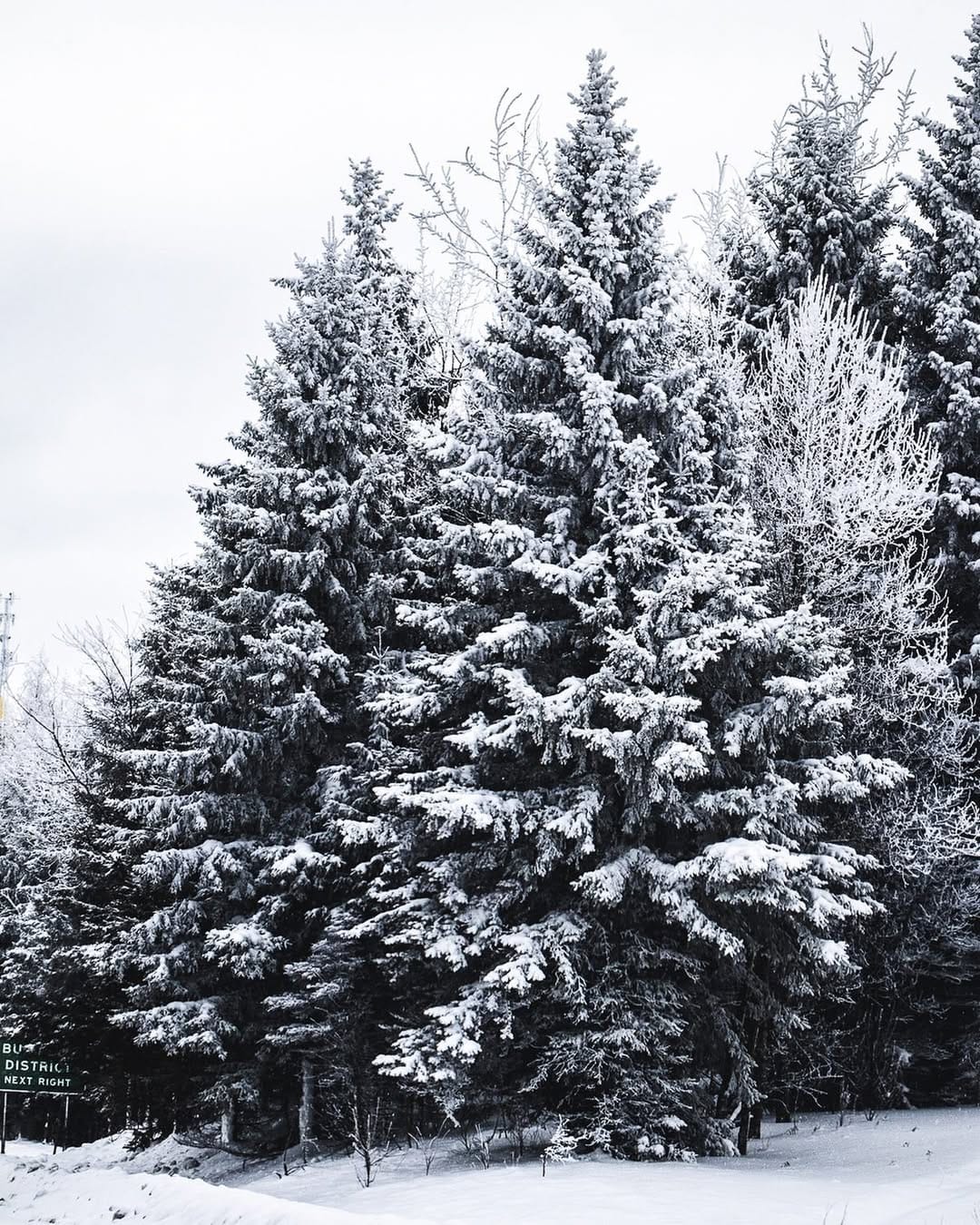 Post 4 by Mike | Please Stand By on Instagram (image)