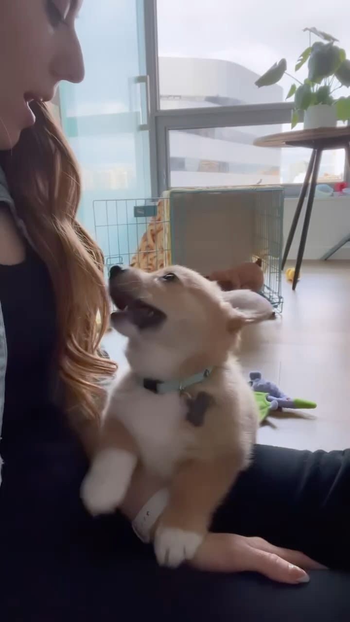 Post 8 by Kaitlyn Raquel on Instagram (video)